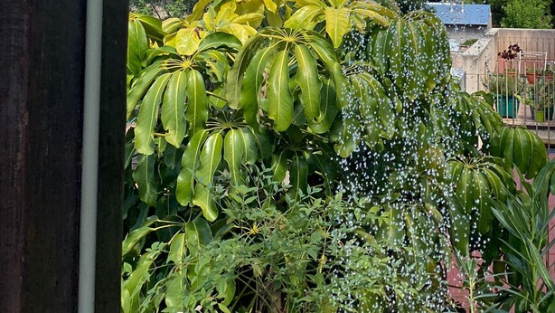 A garden with a water feature, including a metal pipe and a rectangular water spout with multiple streams. - Mitre "The indulgent Experience" (Mendoza)