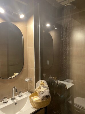 Ducha, secador de pelo, toallas, jabón