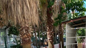 Unclassified image, 3 of 11, button - WHITE FAMILY HOUSE (Serik)