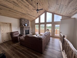 Smart TV, fireplace, books