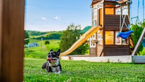 A dog lying on grass with a playground in the background. - Private cabin with amenities ⭐️Location⭐️Spa Pool⭐️Hot tub⭐️Firepit⭐️Pets (Sevierville)