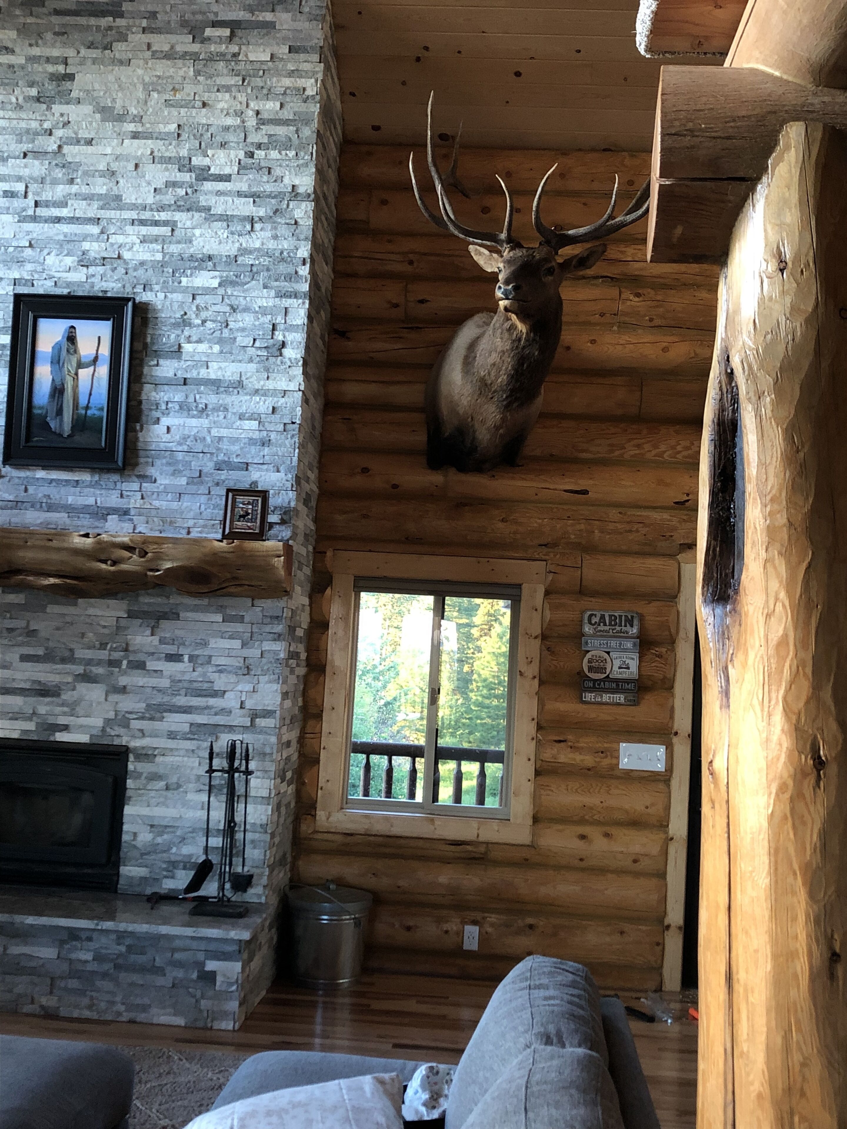 L’intérieur d’une cabane avec un mur en pierre, un plafond en bois, une tête de cerf fixée au mur, une cheminée et une fenêtre donnant sur la forêt.