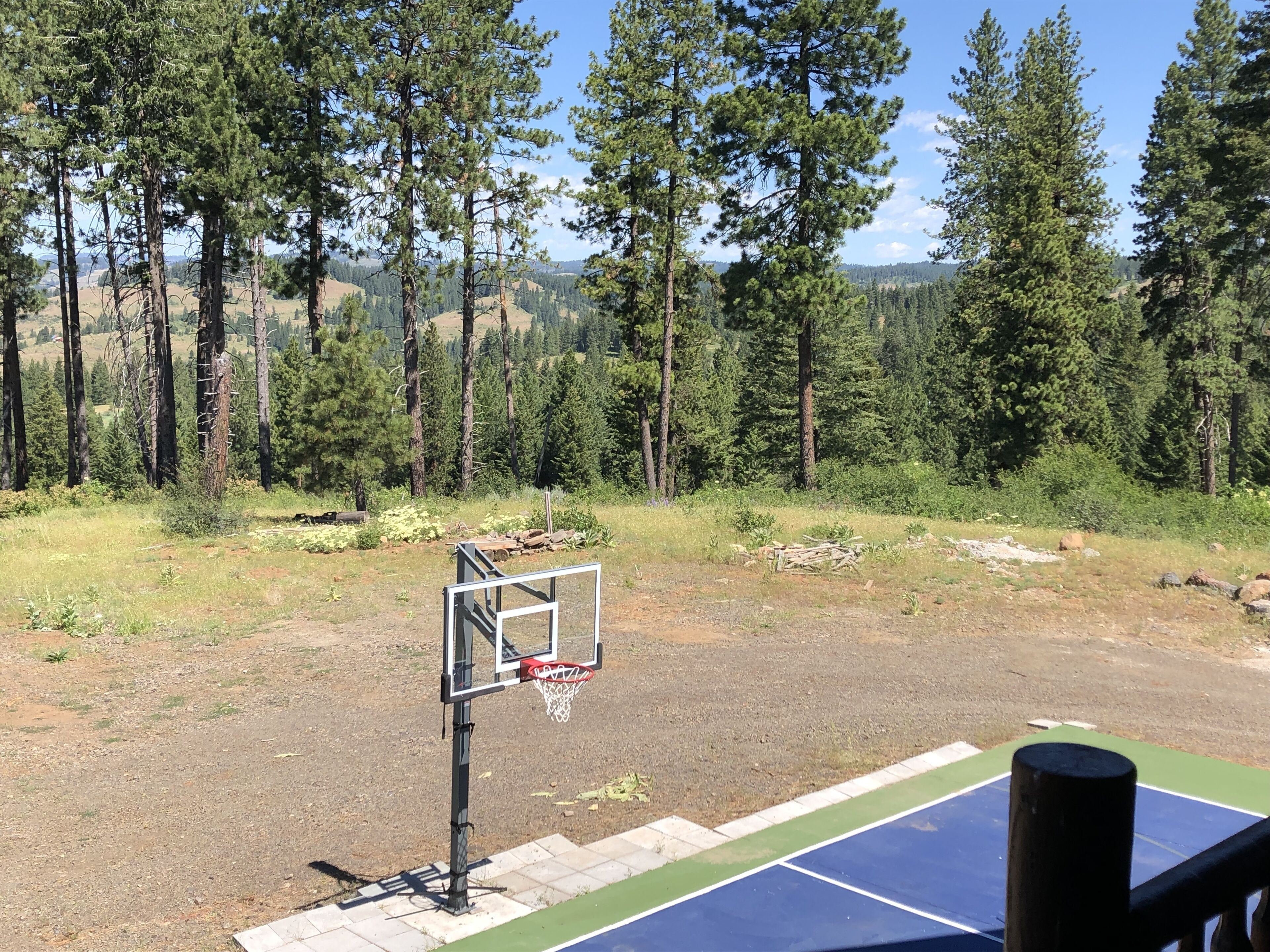 Una cancha de baloncesto al aire libre con aro metálico, rodeada de zona boscosa y paisaje montañoso al fondo.
