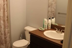 Combined shower/tub, hair dryer, towels, soap