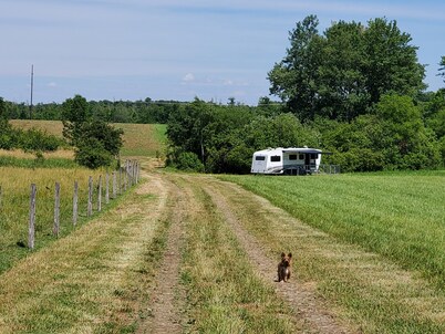 The Farm at Grand River