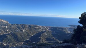 A coastal landscape with a clear view of the sea, a bridge, and a densely forested area. - Charming, relaxing apartment (Sainte Agnès)