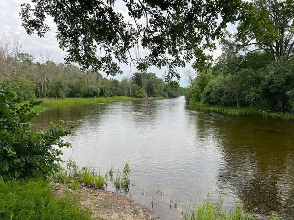 Ein ruhiger Fluss, umgeben von dichtem Grün und Bäumen.