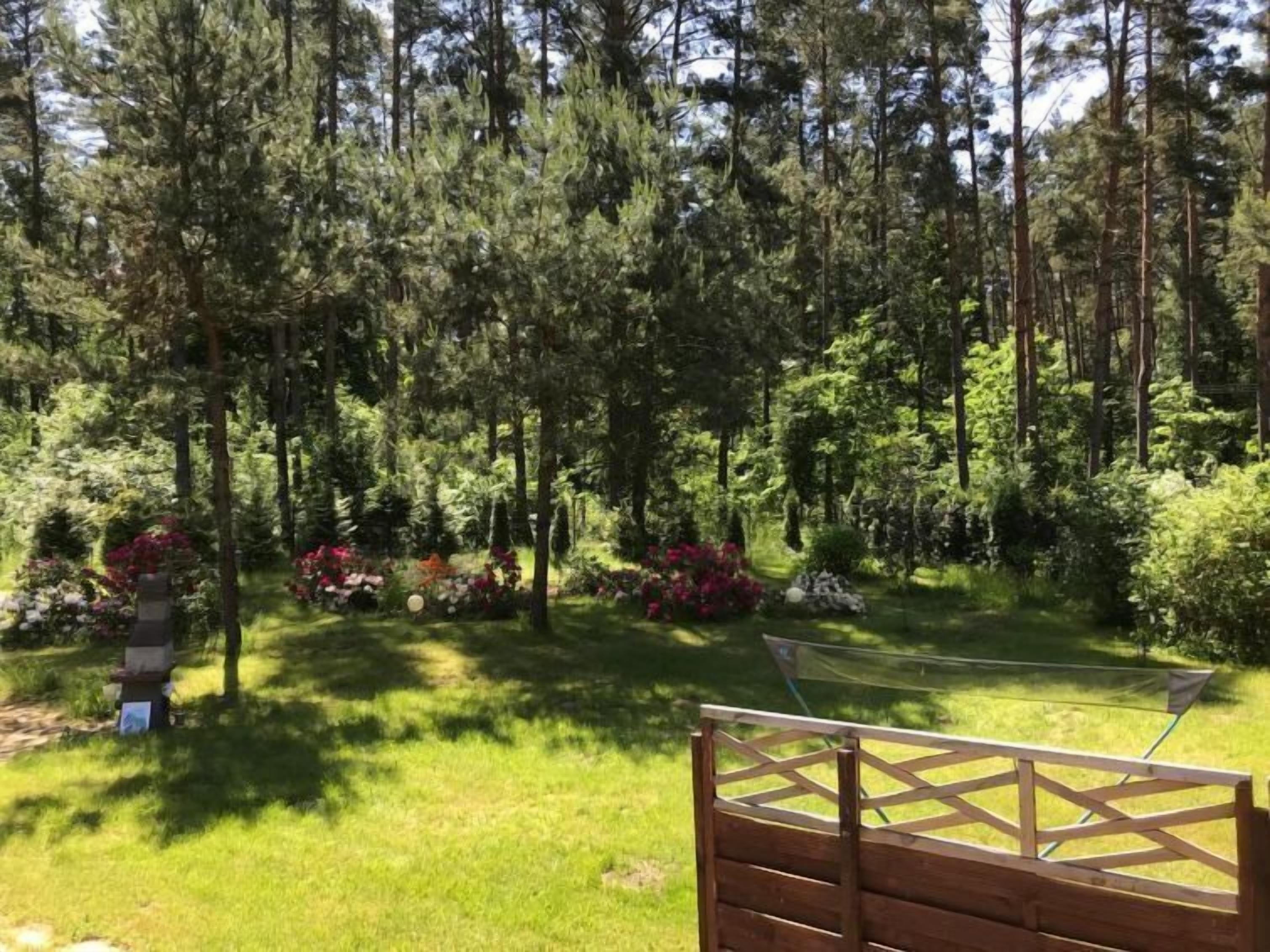 Área boscosa con una valla de madera y una vista despejada de los árboles y la vegetación circundante.