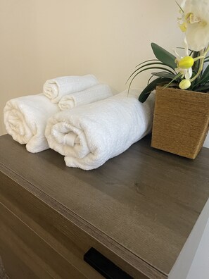 Combined shower/bathtub, hair dryer, towels, soap - Steele Creek Modern Lux 1 bed 1.5 bath townhome (Charlotte)