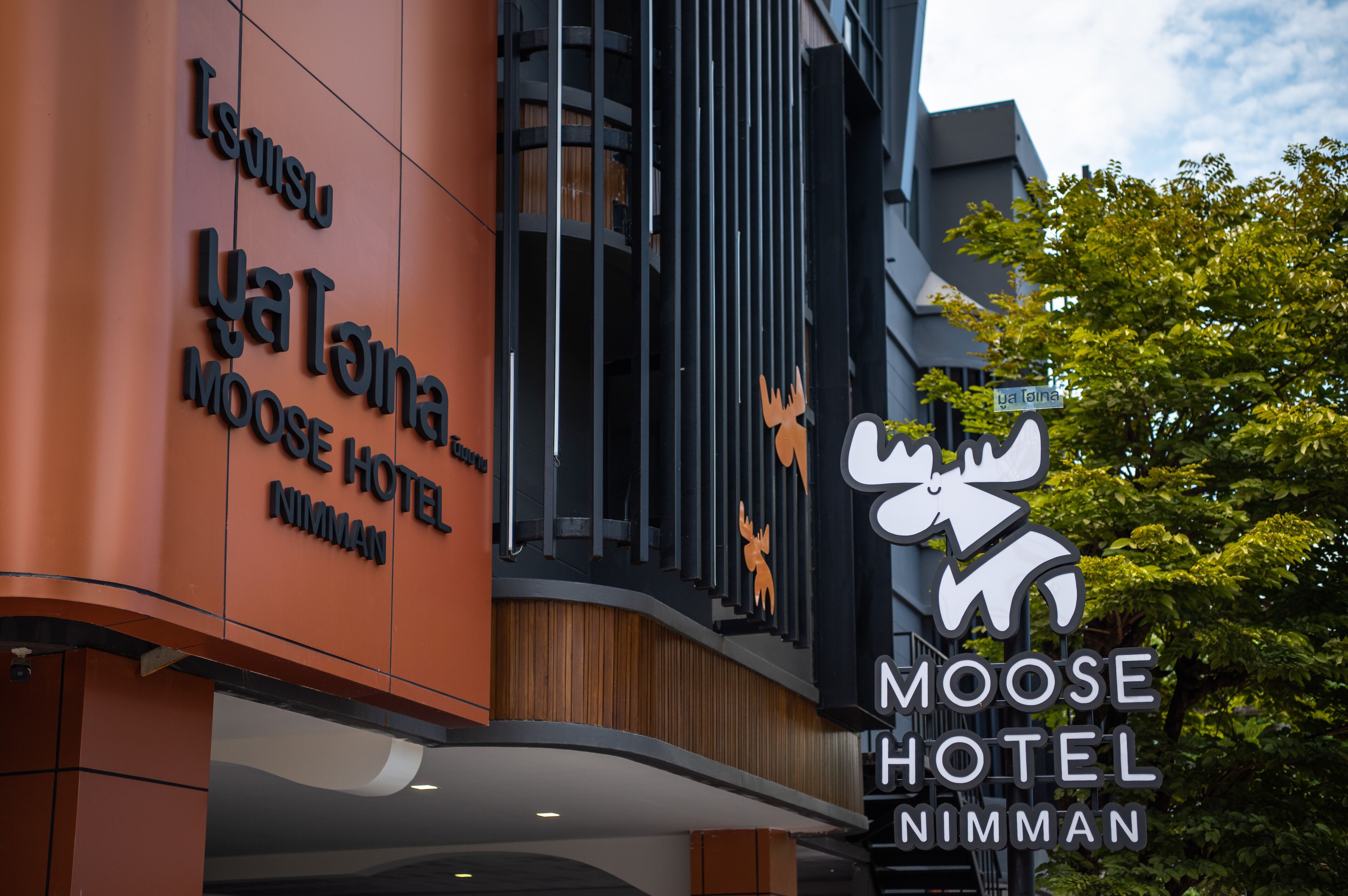 Photo - Moose Hotel Nimman