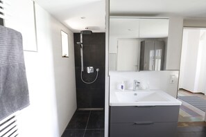 Shower, hair dryer, towels, toilet paper