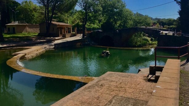 A swimming pool with a bridge, surrounded by trees and a small building. - Provencal loft with terrace in the heart of the village (salernes)