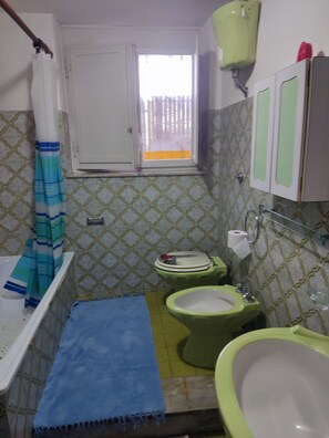 Combined shower/tub, hair dryer, bidet, towels