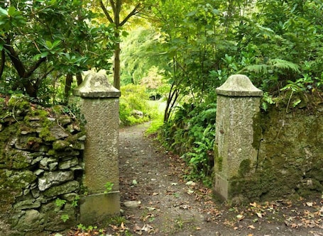 A stone pathway leading through a lush green forest, flanked by moss-covered stone walls and dense foliage.