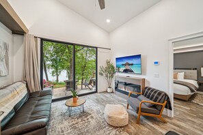 Smart TV, fireplace, books