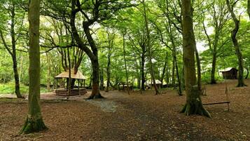 Cabin | Property grounds