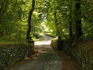 المنطقة المحيطة بالمنشأة