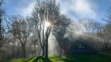 Cabin | Property grounds