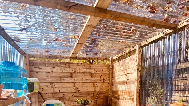 A wooden room with a sloped ceiling, a large water container, a chair, a table, and potted plants. - The Yellow Door Cottage (Moville)