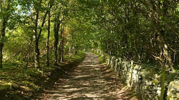 Cabin | Property grounds