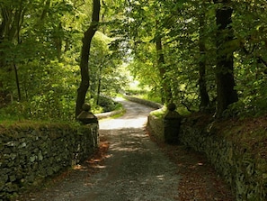 Cabin | Property grounds