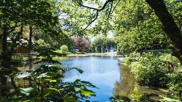 Cabin | Property grounds