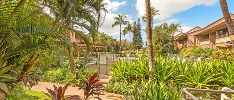 A resort with multiple buildings, lush tropical vegetation, and a fenced area with a pathway.