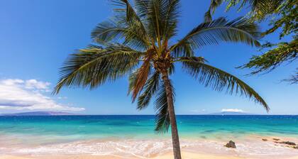 ATTRACTIVE & Updated 1 Bed 1 Bath in Kihei Maui!