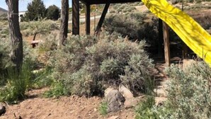 A wooden structure with a yellow tarp, surrounded by sparse vegetation and trees. - Wild Horse Country Stay • Mt. Rose Views Near Reno (Reno)