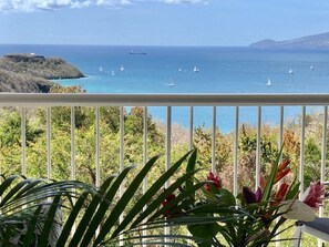 Property grounds - L'Oiseau Bleu - 1bed - 4p - Sea view - Beach 600m (Les Trois-Îlets)