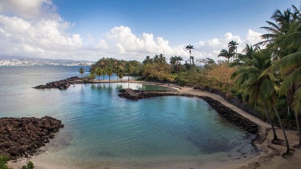 A clear view of a beach with a pool, surrounded by palm trees and a rocky shoreline. - L'Oiseau Bleu - 1bed - 4p - Sea view - Beach 600m (Les Trois-Îlets)