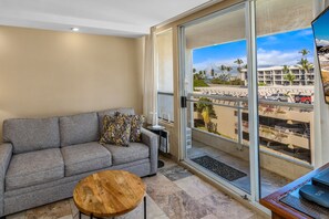 تلفزيون، مشغل دي في دي