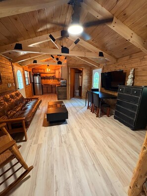 Smart-TV, Kamin