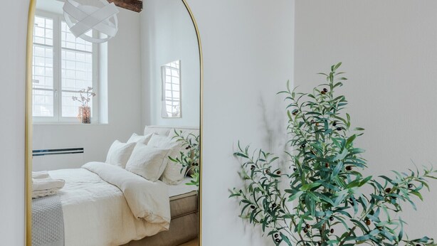 Un dormitorio con cama, espejo y una planta colgante en la pared.