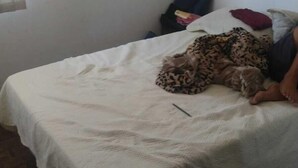 Una stanza piccola e semplice, arredata con un letto singolo, una sedia e un tavolino.