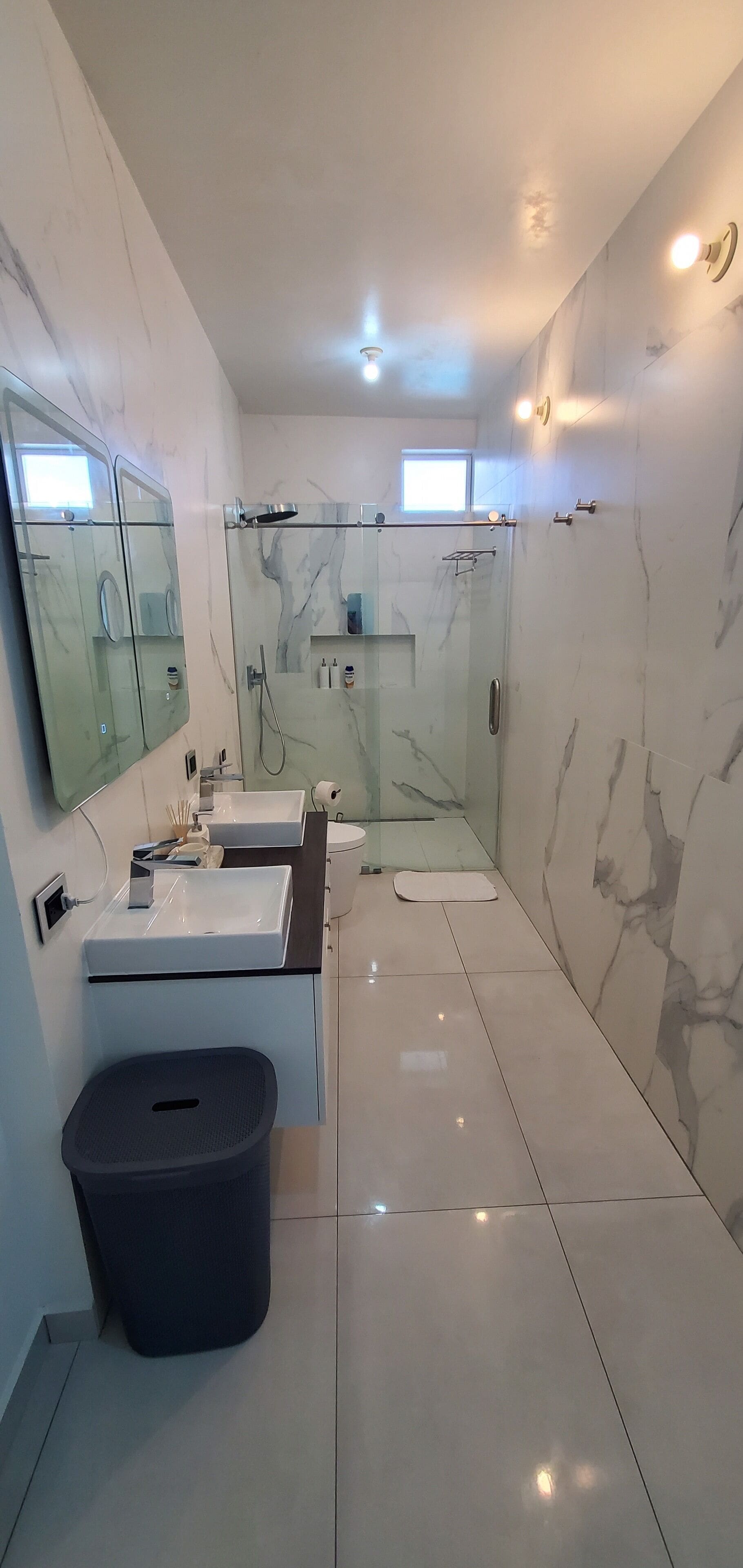 Shower, hair dryer, bidet, towels