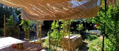 المنطقة المحيطة بالمنشأة