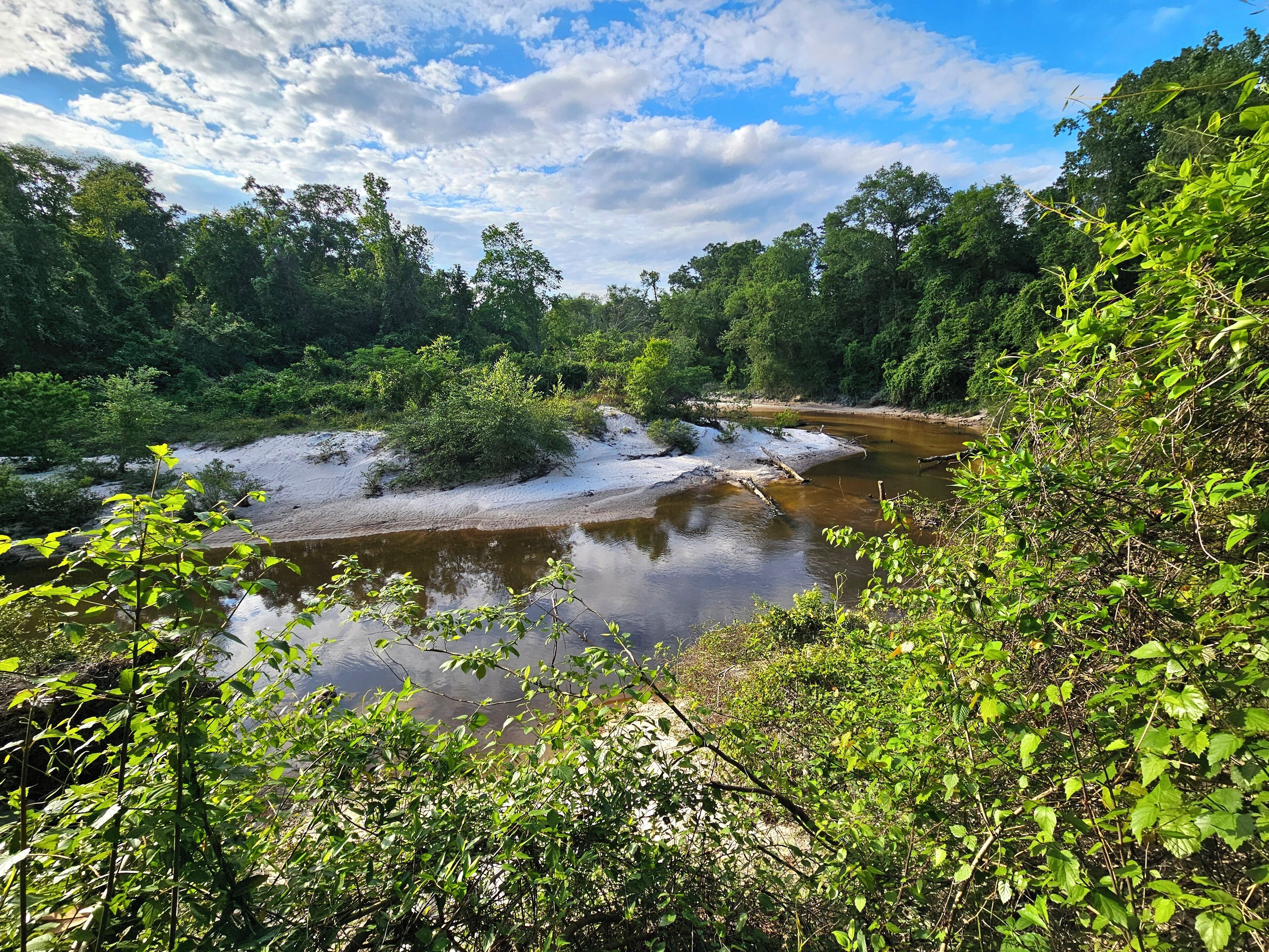 Waterfront treehouse with private beaches, large decks, secluded in trees