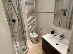 A modern bathroom with a glass-enclosed shower, a white bidet, a vanity with a mirror, and a toilet.