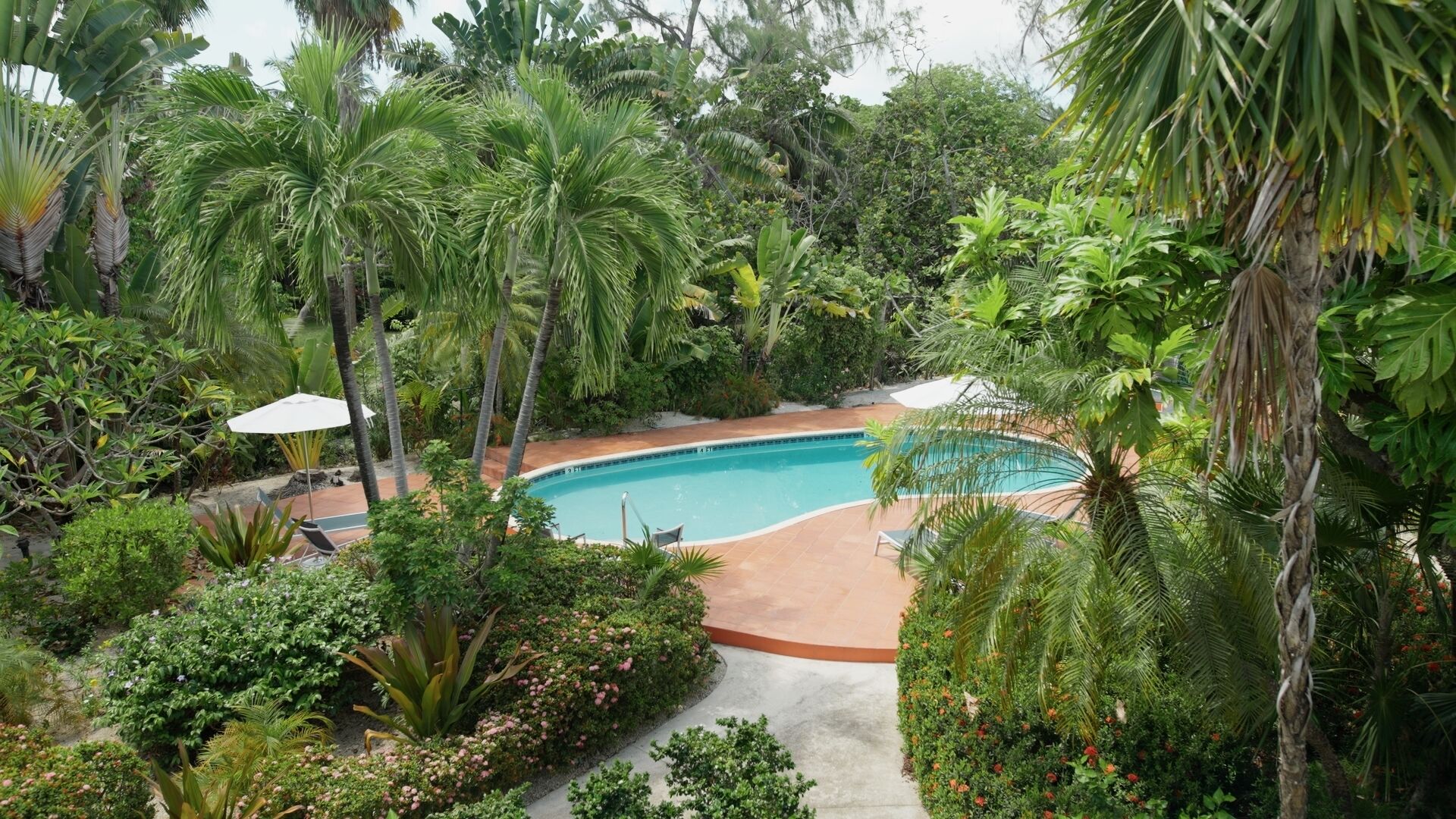 View of tropical swimming pool