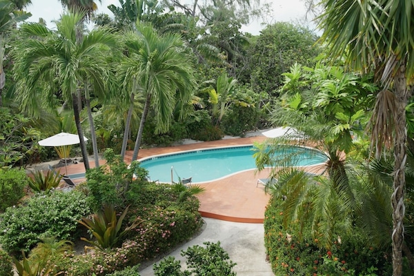 View of tropical swimming pool