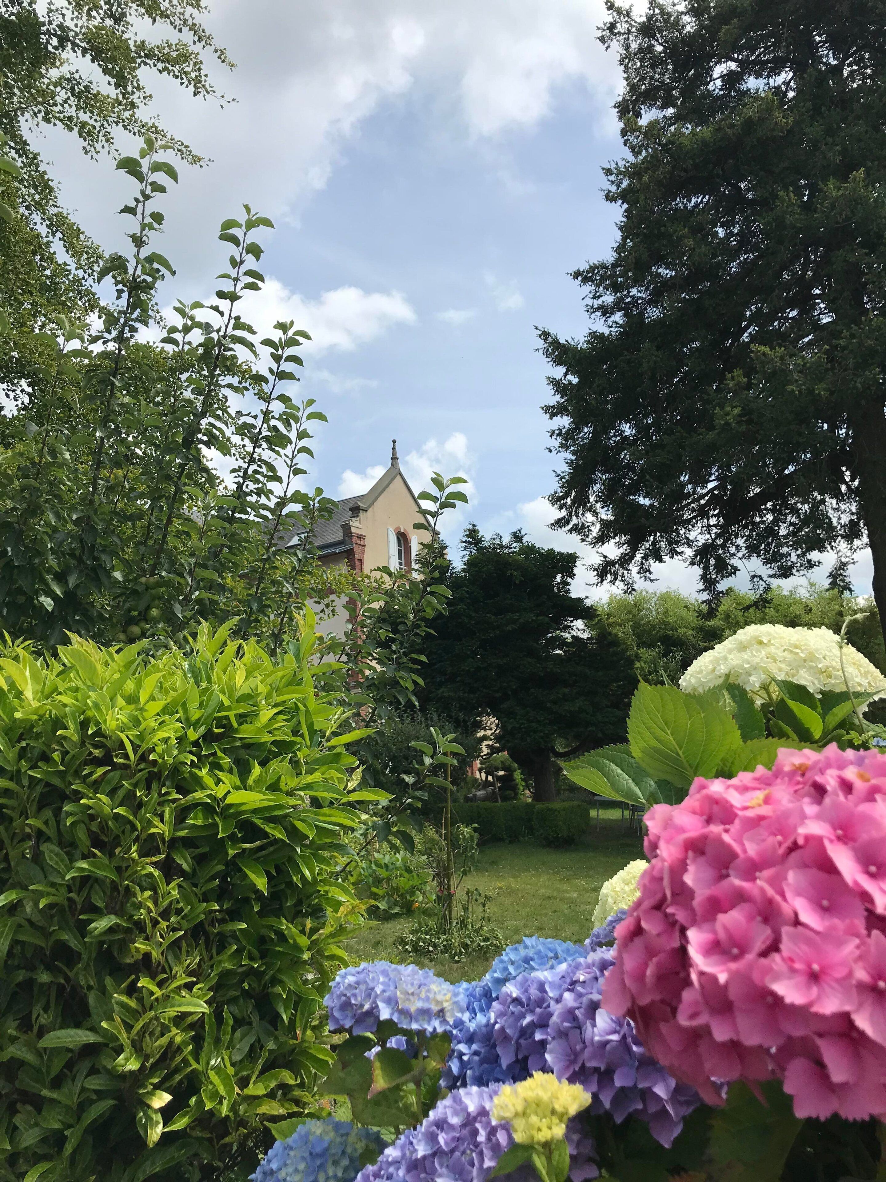 A garden with lush greenery and hydrangea flowers in various colors.