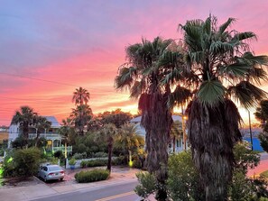 A residential street with palm trees, a parked car, and houses with white fences. - Old City Garden Retreat | Screened Porch • Walk to Historic St. Augustine (St. Augustine)