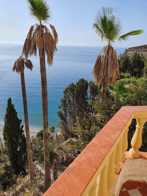 A coastal view with palm trees and a clear sky. - Exclusive villa with private pool and gym (Almuñécar)