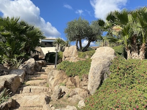Explore a serene outdoor space surrounded by lush greenery and natural elements, featuring a pathway and scenic views.