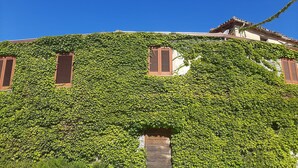 Een gebouw begroeid met groene klimop, met drie houten luiken.