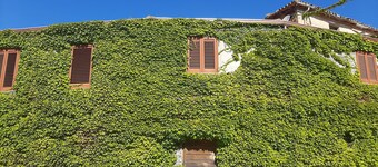 Apartment surrounded by greenery between Iglesias and Fluminimaggiore.