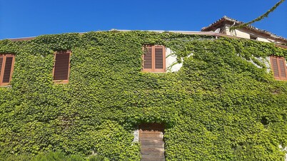 Apartment surrounded by greenery between Iglesias and Fluminimaggiore.