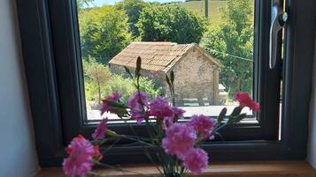 Seprai katun Mesir, seprai premium, dan tempat tidur Tempur-Pendic