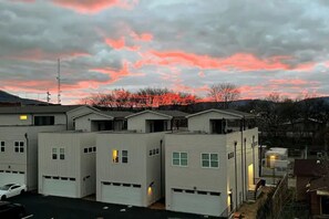 Exterior - DT Southside Chattanooga-Rooftop/whole home (Chattanooga)